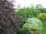 2006-0605-1619-33.jpg